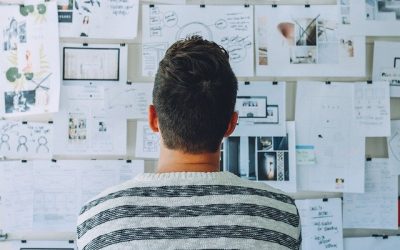 Paralización de proceso selectivo como consecuencia de la estabilización de empleo temporal.