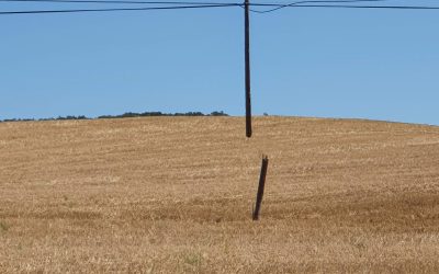 Nuevo régimen de la unidad mínima de cultivo en Aragón